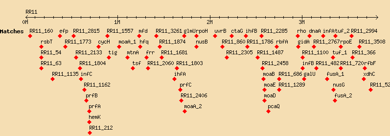 overview_RR11