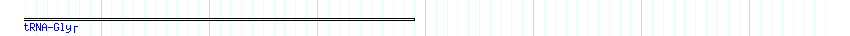 tRNA detail