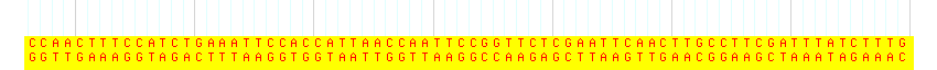 DNA/GC Content detail