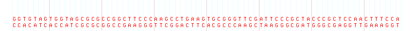 DNA/GC Content detail