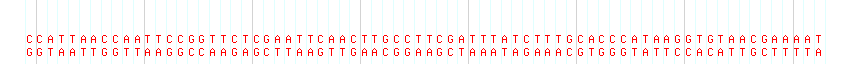 DNA/GC Content detail