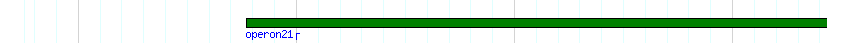 operon detail