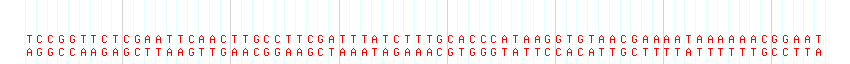 DNA/GC Content detail