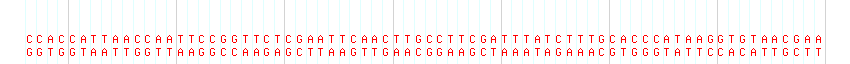 DNA/GC Content detail