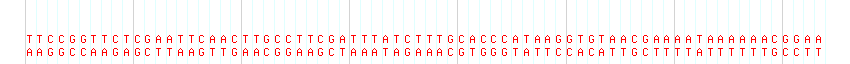 DNA/GC Content detail