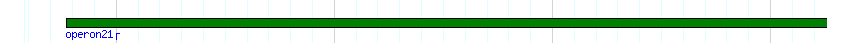 operon detail