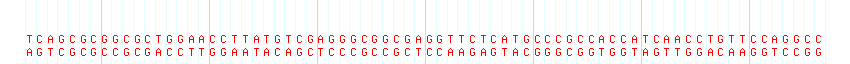 DNA/GC Content detail