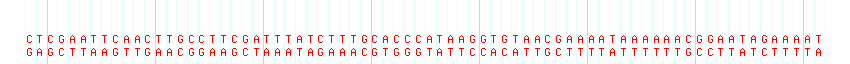 DNA/GC Content detail