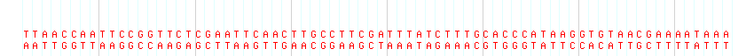 DNA/GC Content detail