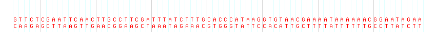 DNA/GC Content detail