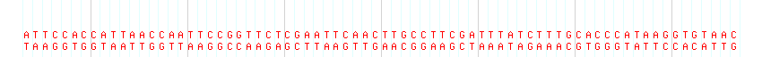 DNA/GC Content detail