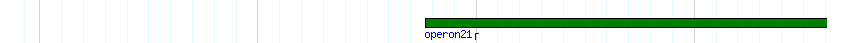 operon detail