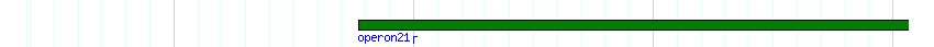 operon detail