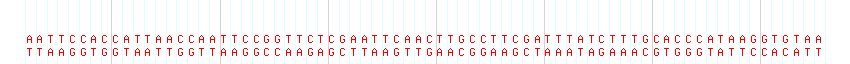 DNA/GC Content detail