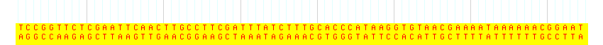 DNA/GC Content detail