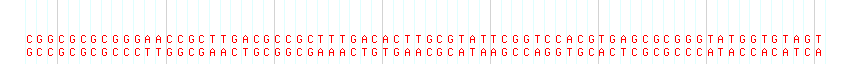 DNA/GC Content detail